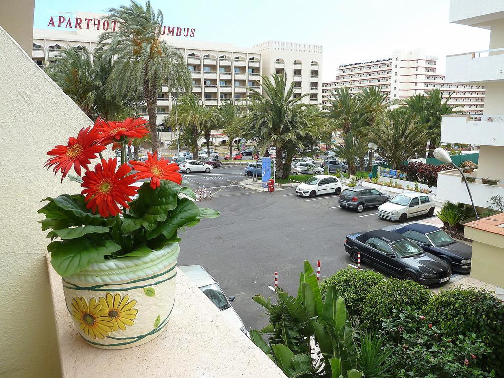 Holiday Apartment Los Tajinastes Playa de las Americas (Tenerife) Phòng bức ảnh